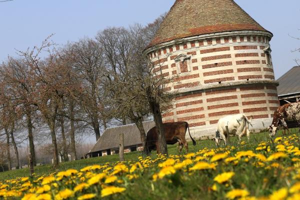 Formation et sensibilisation de futurs ingénieurs agronomes sur les Clos Masures