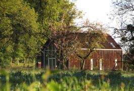 Bureaux passifs  en bardage bois brulé au cœur du Pays de Caux (76)
