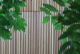 Villa contemporaine dans un écrin de verdure à Saint-Aubin-sur-Mer (76)