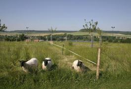 Aires sportives et vestiaires du club de football à Mesnières-en-Bray (76)