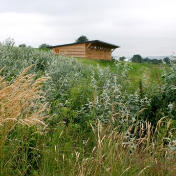Aires sportives et vestiaires du club de football à Mesnières-en-Bray (76)