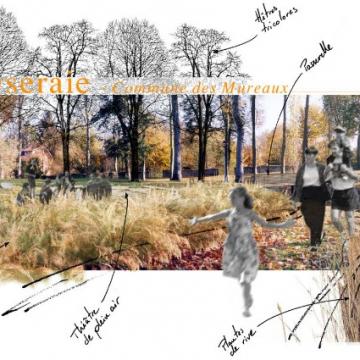 Visuels et photomontages pour FOLIUS Ecopaysage à Sainte Marie des Champs