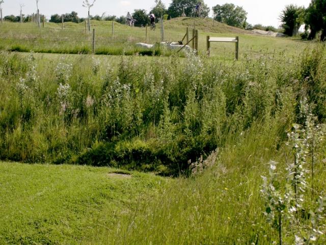 Aires sportives et vestiaires du club de football à Mesnières-en-Bray (76)