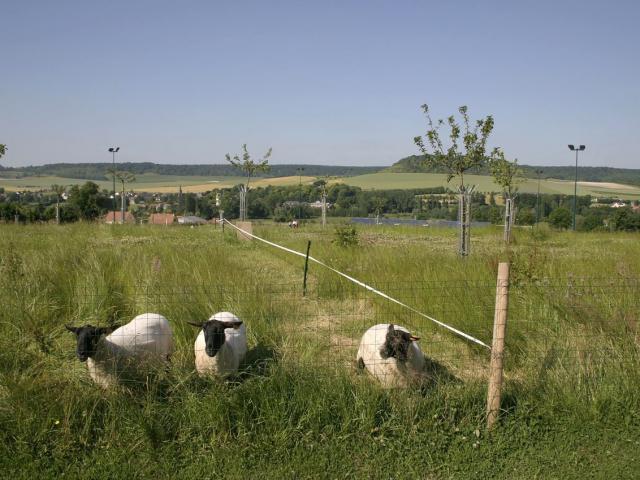 Aires sportives et vestiaires du club de football à Mesnières-en-Bray (76)